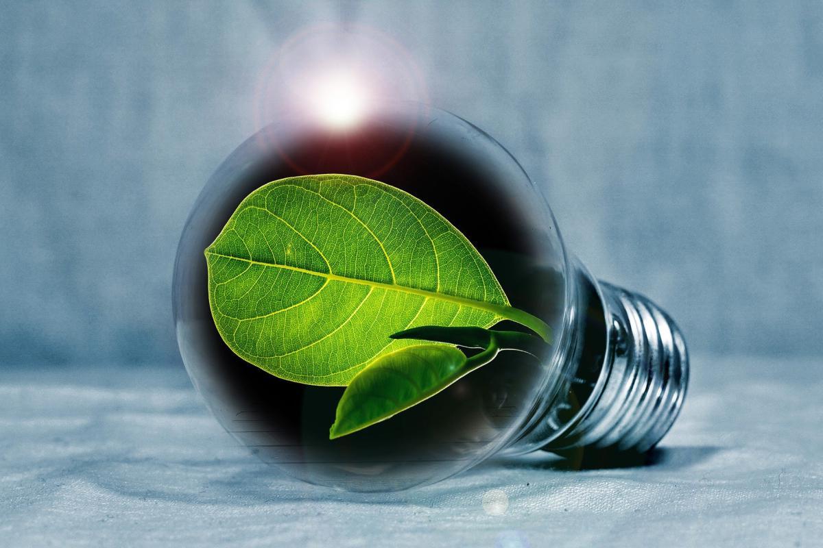 Graphic of lightbulb with leaf as light source